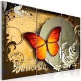  Slika - Flight of a butterfly 120x80 Cijene