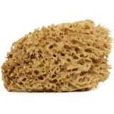 Cose della Natura honeycomb - naravna spužva - srednja, 8-10 g Cene