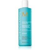 Moroccanoil Scalp Balancing Shampoo pomirjujoči šampon za mastne lase proti prhljaju 250 ml | Shoptok.si