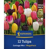KIEPENKERL Mega pakiranje poznih tulipanov "Cottage Mix" - 12 k. Cene