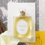 Dior Dolce Vita toaletna voda za ženske 100 ml | Shoptok.si