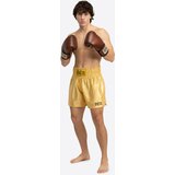 Benlee Lonsdale Men's thaibox trunks | Shoptok.si