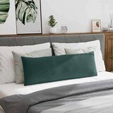 vidaXL Blazine za kavč 2 pcs Temno zelena 120 x 40 cm Žametna tkanina | Shoptok.si