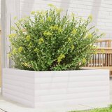 vidaXL Vrtno cvetlično korito belo 60x60x23 cm trdna borovina Cene