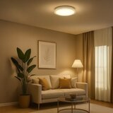  LED plafonsko svetlo LAGO LED/36W/230V, prečnika 48 cm | Eponuda.com