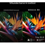 Sony BRAVIA 9 II K75XR95M2PB True RGB LED Google TV sprejemnik | Shoptok.si
