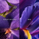 Guerlain Insolence za žene | shoptok.hr