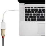 Lindy 41021 DisplayPort / Mini-DisplayPort adapterski kabel [1x ženski konektor DisplayPort - 1x muški konektor mini displayport] bijela 15.00 cm | Eponuda.ba