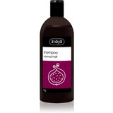Ziaja Family Shampoo šampon za normalnu kosu 500 ml | shoptok.hr