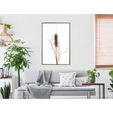  Poster - Typha 40x60 | shoptok.hr