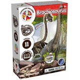  KREATIVNI SET ISKOPAJ FOSIL BRACHIOSAURUS Cene