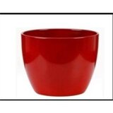  Saksija 920/14 ENERGY RED Cijene