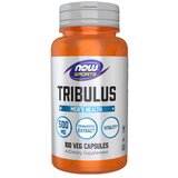 Now Foods Tribulus - Babin zub NOW, 500 mg (100 kapsula) | shoptok.hr