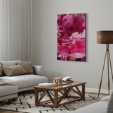  Slika - Blossom of Beauty (1-part) - Pink Peony Flower Embraced by Nature 20x30 | shoptok.hr