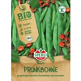 BIO stročji fižol - 1 pkt. Cene