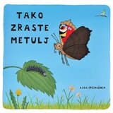 Avrora tako zraste metulj | Shoptok.si