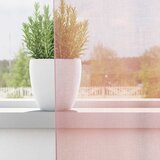 Voile zavjese s ušicama 2 kom svijetlo ružičaste 140x260 cm | Shoptok.si