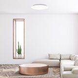  Stropna rasvjeta - Rorik | shoptok.hr