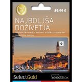 SELECTCARD SelectGold Black (C), (5000089719) | Shoptok.si