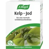 Kelp - jod - 120 tab.