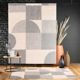 Douceur d intérieur Siva/bež preproga 160x230 cm Tyler – | Shoptok.si