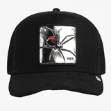 Silver spider