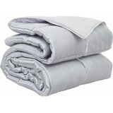 vidaXL Polna celoletna prevleka srebrna 220 x 200 cm, (5000147137) Cene