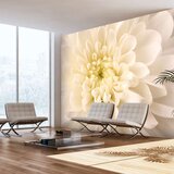  Tapeta - White dahlia 250x193 Cijene