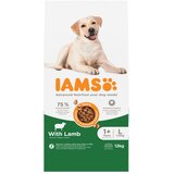 IAMS Advanced Nutrition Adult Large Dog s janjetinom - 12 kg Cijene