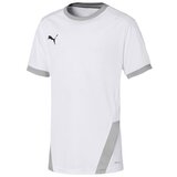 Puma Teamgoal 23 Jersey sarena Cijene