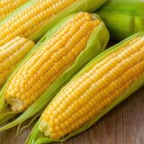 BIO rumena sladka koruza “Golden Bantam” - 30 g | Shoptok.si