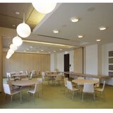 ARTEMIDE AR 1052010A - Viseći luster CASTORE na sajli 1xE27/100W/230V | Eponuda.com