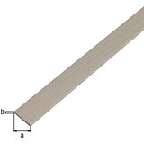 Alberts profil plosnati 25X2/1m | shoptok.hr