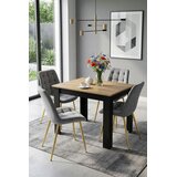  BERA stolica - svijetlosivi baršun / zlatne noge x 4 | shoptok.hr