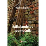 Radivoj Šajtinac - Mikelanđelov pomoćnik