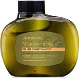 Antipodes Manuka + Orange Volume & Shine Shampoo - 340 ml Cene