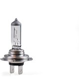  HALOGENA PX26D 12V 55W | Eponuda.ba