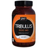 QNT tribulus, 60kap | ePonuda.com