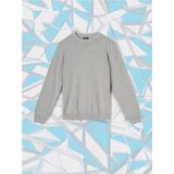 Sinsay muški džemper 628AW-09M | shoptok.hr
