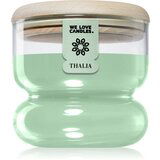 We Love Candles Thalia Field Chamomile mirisna svijeća 170 g Cijene