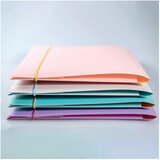  FASCIKL KLAPA S GUMICOM PP A4 PK4 FELLOWES 100041254 SORTIRANO | Shoptok.si