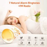 Venisymlis Barva Wake Up Lučka Led Radio Budilka Jutranja Lučka Nočna Lučka Stopnja Svetlosti Dawn And Cuckoo, (22068206) | Shoptok.si