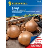  Čebula "Wiener Bronzekugel" - 1 pkt. | Shoptok.si