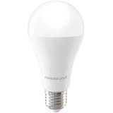 light led sijalica E27 A65 17W 2100lm 6000K e