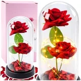 2 Roses in Dome with LED Lighting and Rose Petals Red 21x11cm