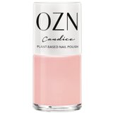  Lak za nohte, nude/sivi/rjavi odtenki - Candice Cene