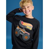 Sinsay Majica dugih rukava Hot Wheels | shoptok.hr