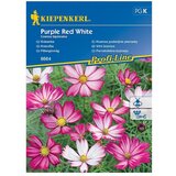 KIEPENKERL Profi-Line Cvetlična semena pernatoliste kozmeje (Cosmos bipinnatus) | Shoptok.si