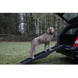 Nobby rampa za pse - 40 x 152 cm | Shoptok.si