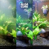 Smania Čistilo za akvarij AlgaCure | Shoptok.si